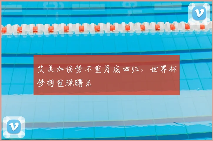 艾美加伤势不重月底回归,世界杯梦想重现曙光
