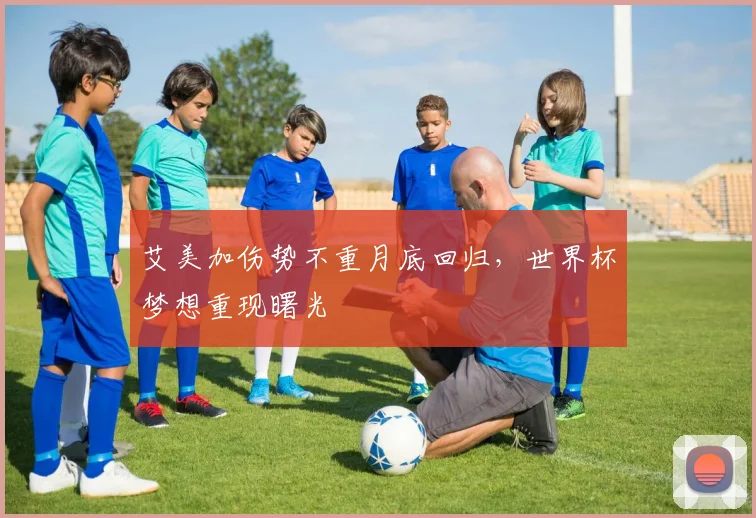 艾美加伤势不重月底回归,世界杯梦想重现曙光